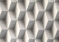 Colro gris 3D autoguident le papier peint démontable, papier peint moderne géométrique de l'effet 3D
