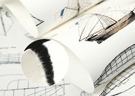 Papier peint démontable moderne de modèle blanc de bateau, Wallcovering non tissé de luxe
